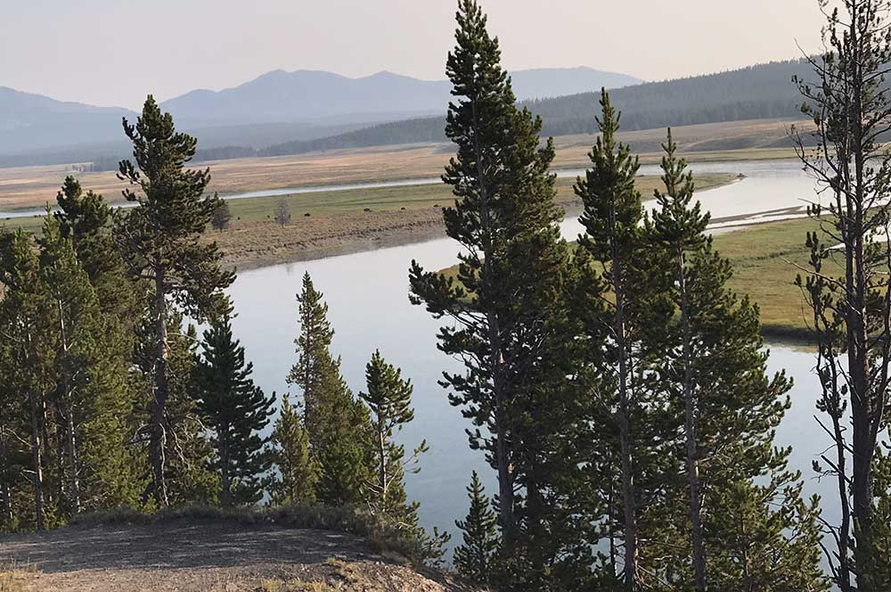 Hayden Valley, Yellowstone River, Yellowstone National Park