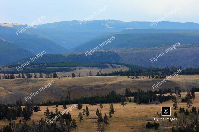 Lamar Valley, Yellowstone National Park