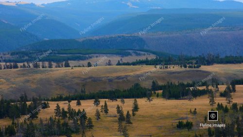 Lamar Valley, Yellowstone National Park