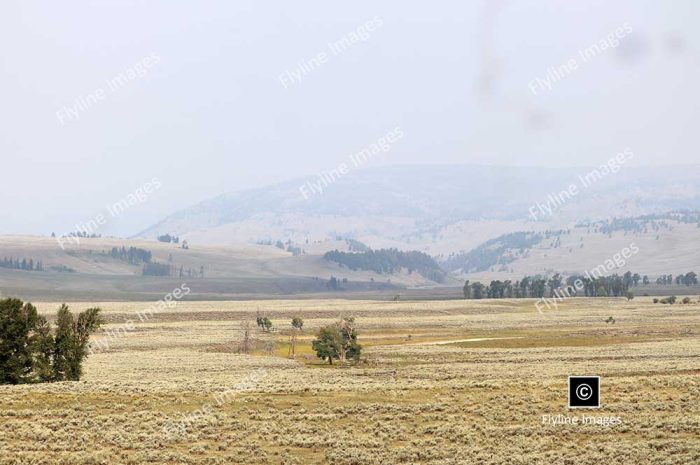 Lamar Valley Trail