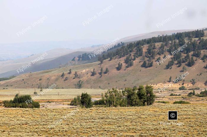 Lamar Valley Trail