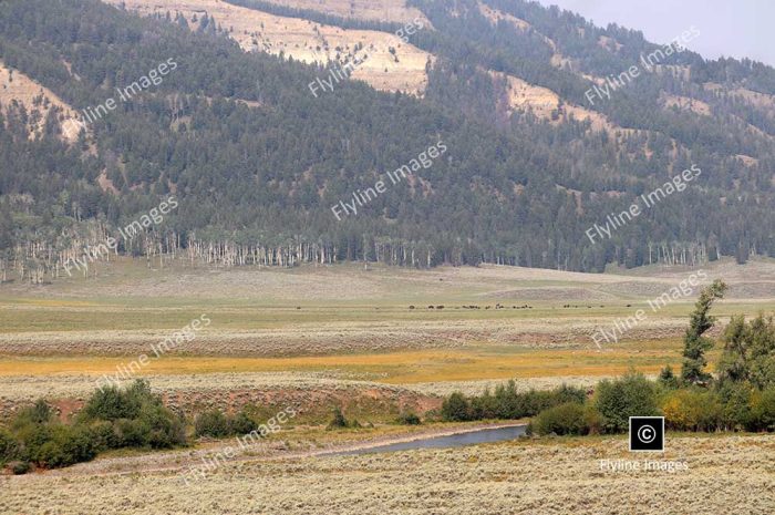 Lamar Valley Trail, Lamar River, Yellowstone National Park