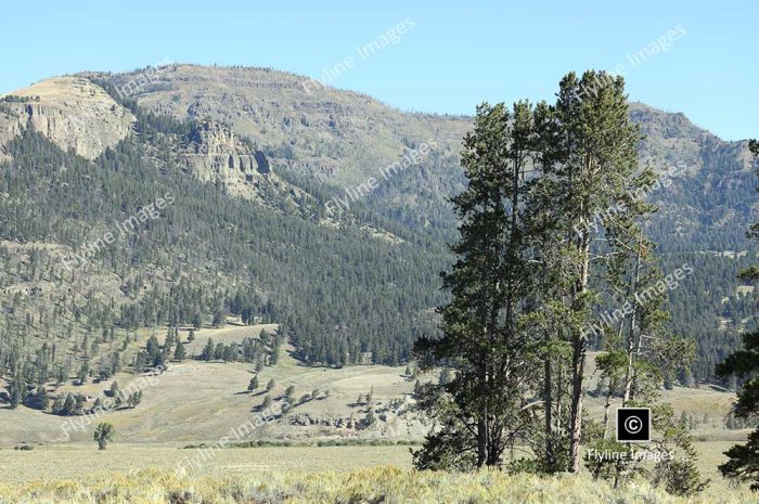 Lamar Valley Trail