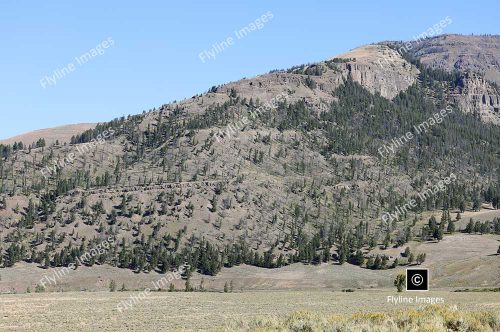 Lamar Valley Trail