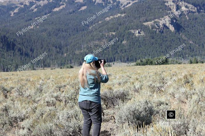 Lamar Valley Trail, Lamar Valley, Yellowstone