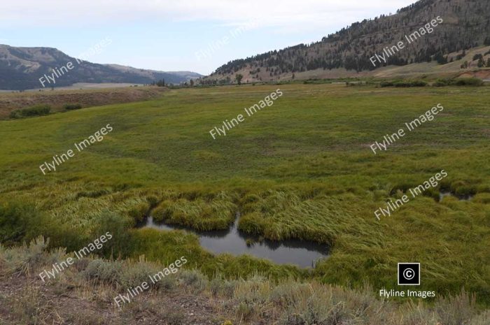 Lamar Valley Trail, Lamar Valley, Yellowstone