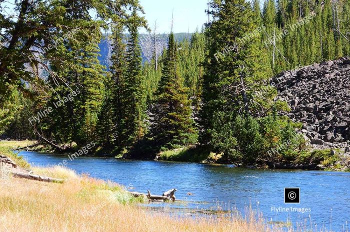 Madison River, Yellowstone