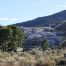 Mammoth Hot Springs, Yellowstone National Park