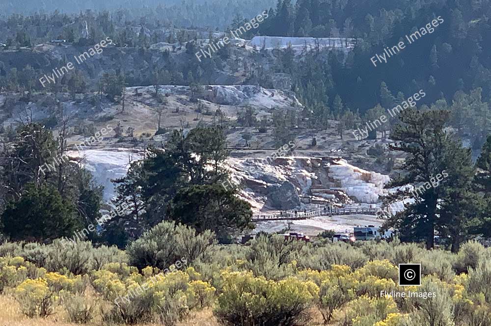 Mammoth Hot Springs, Yellowstone National Park