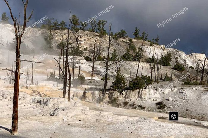 Mammoth Hot Springs