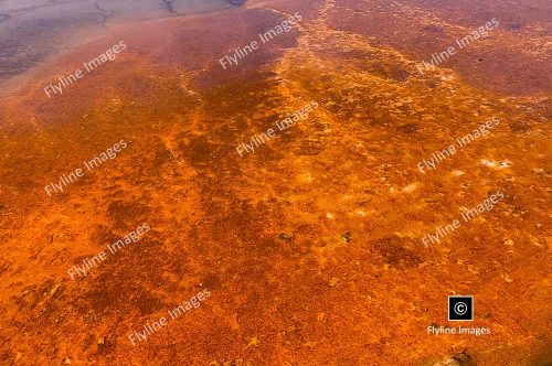 Cyanobacteria, Microbacteria, Grand Prismatic Hot Spring