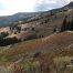 Mount Washburn, Scenic Hikes, Yellowstone National Park