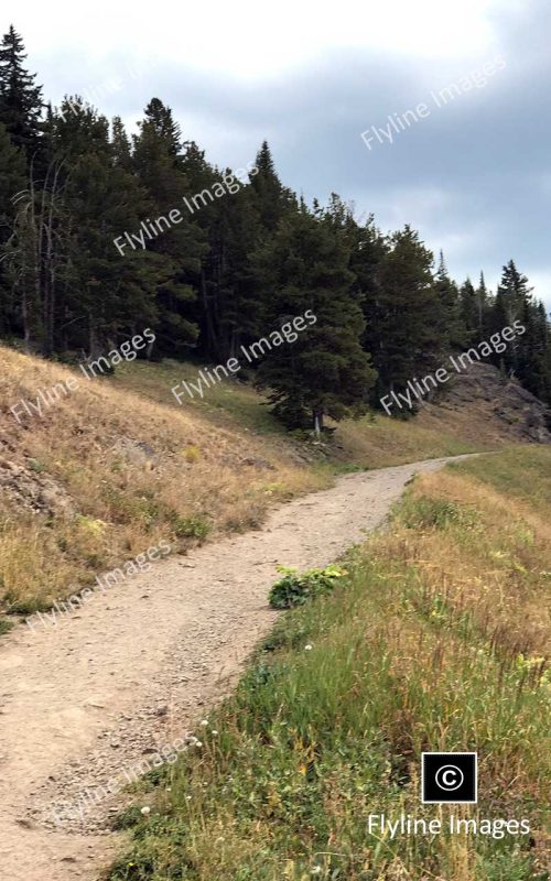 Mount Washburn Trail, Scenic Hikes In Yellowstone