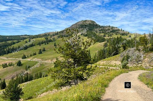 Mount Washburn, View From Mount Washburn, Yellowstone National Park