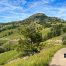 Mount Washburn, View From Mount Washburn, Yellowstone National Park