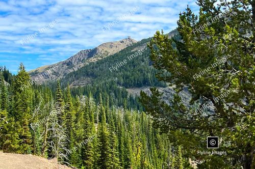 Mount Washburn, View From Mount Washburn, Yellowstone National Park