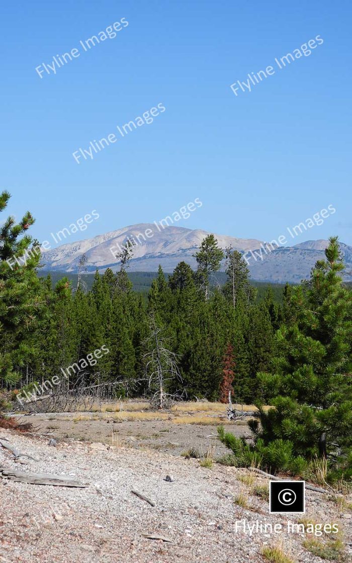 Norris Geyser Basin, Yellowstone National Park