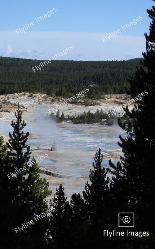 Norris Geyser Basin, Yellowstone National Park