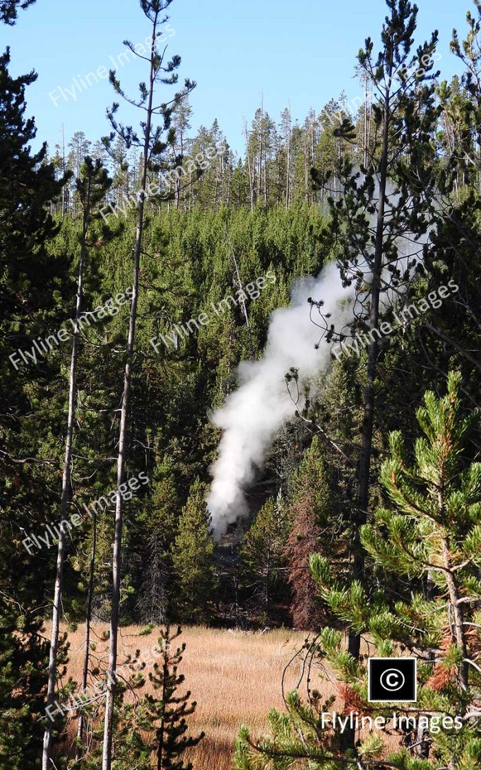 Steam Vents, Geothermal Features, Yellowstone National Park