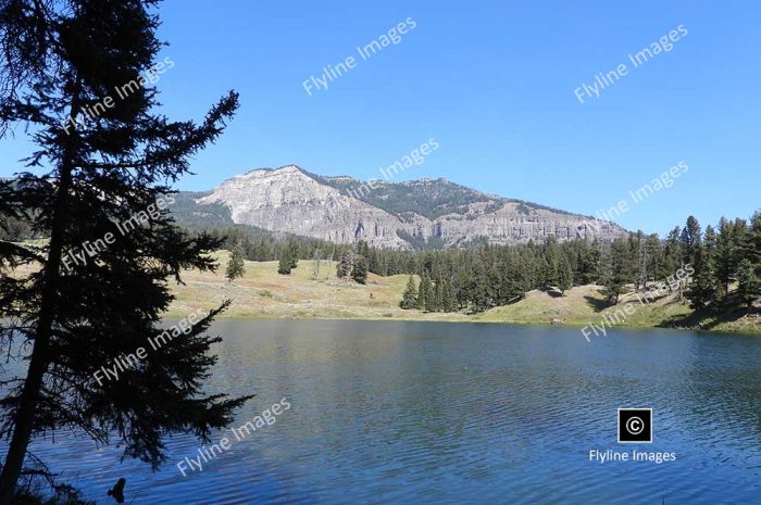 Trout Lake, Scenic Hike In Yellowstone