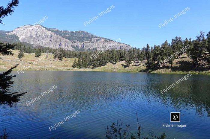 Trout Lake, Yellowstone National Park, Scenic Hike