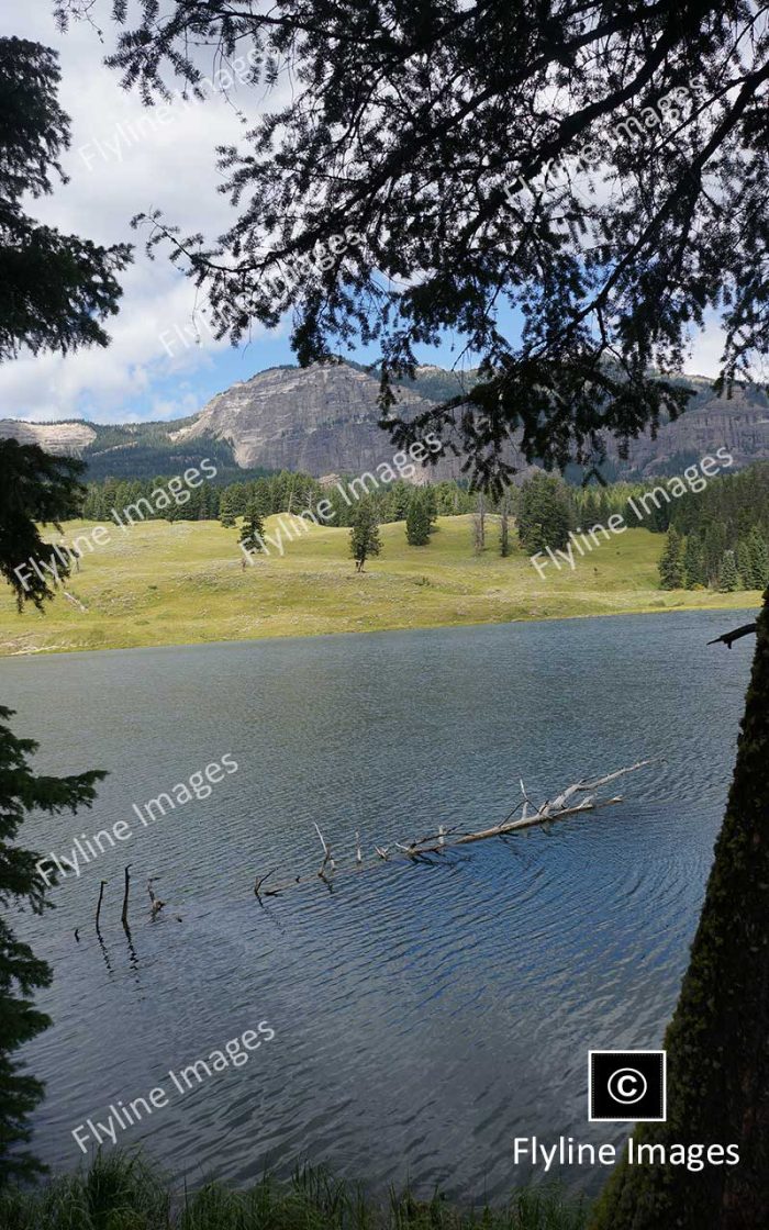 Trout Lake, Yellowstone National Park