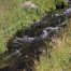 Tributary of Soda Butte Creek, Trout Lake, Yellowstone National Park