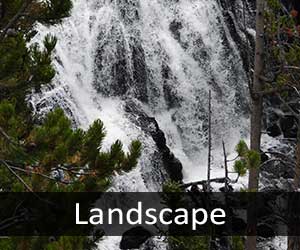 Yellowstone Waterfalls