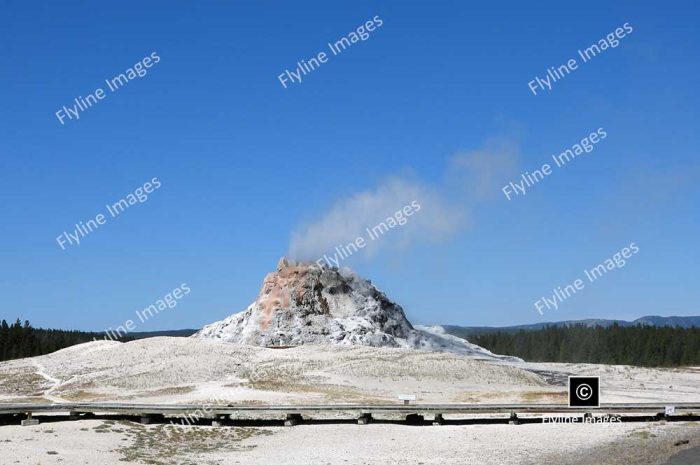 White Dome Geyser, Firehole Lake Drive, Yellowstone National Park