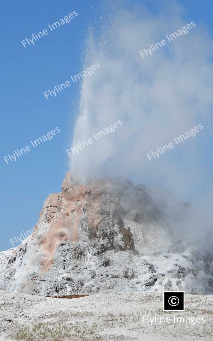 White Dome Geyser, Norris Geyser Basin, Yellowstone National Park