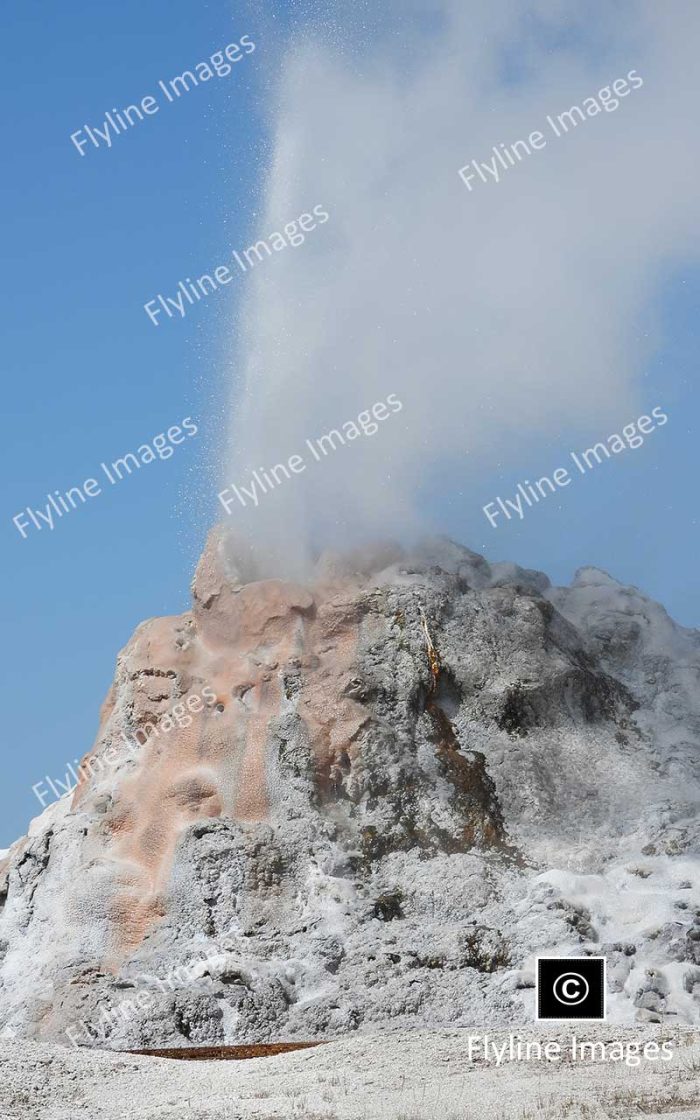 White Dome Geyser, Firehole Lake Drive, Yellowstone National Park