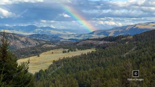 Rainbow Over Yellowstone National Park