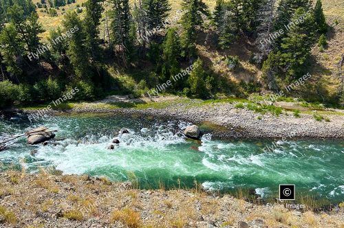 Yellowstone River