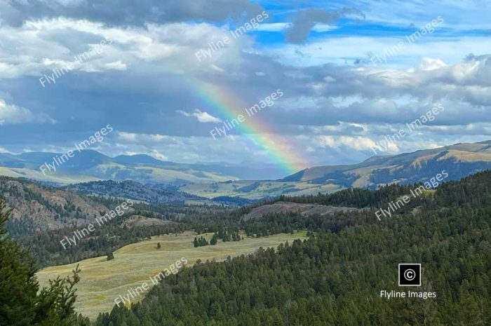 Yellowstone National Park, Rainbow Near Roosevelt District