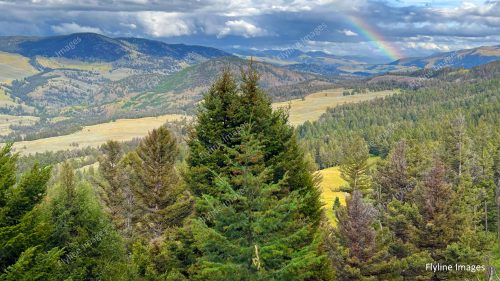 Yellowstone Scenic Vista