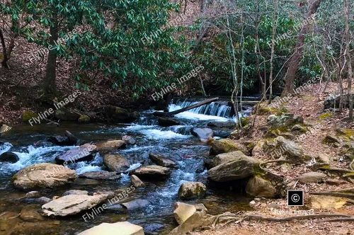 Amicalola River