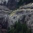 Barronette Peak, Yellowstone National Park, Mountain Goats