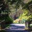 Gibbs Garden Entrance