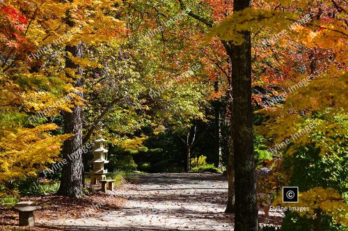 Gibbs Gardens, Fall Colors, North Georgia