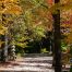 Gibbs Gardens, Fall Colors, North Georgia