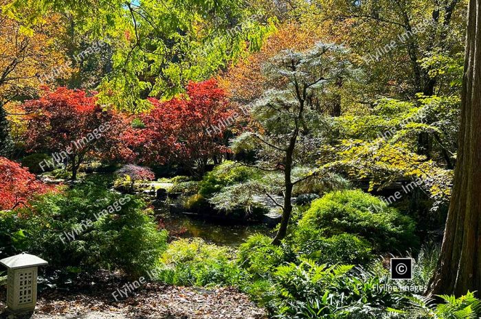 Gibbs Gardens, Fall Colors