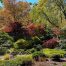 Gibbs Gardens, Japanese Garden, Fall Colors