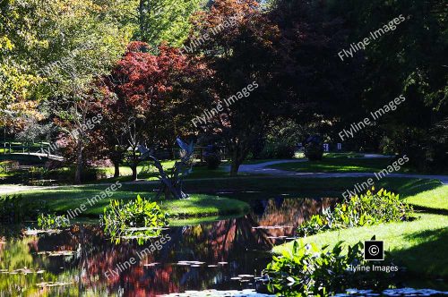 Gibbs Gardens, Fall Flowers, Autumn Leaf Colors