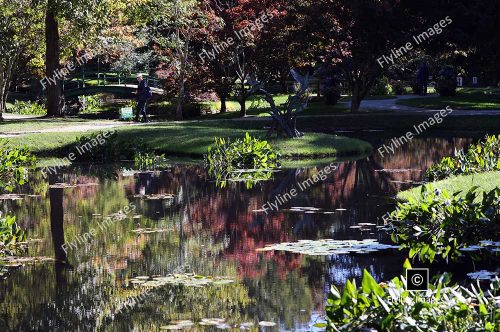 Gibbs Gardens, Scenic Landscape, North Georgia