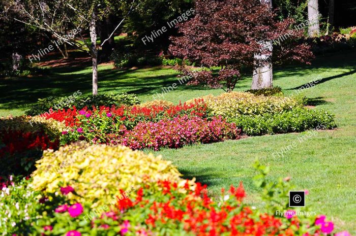 Fall Colors, Flower Beds, Gibbs Gardens