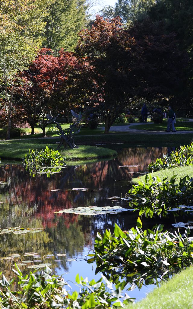 Gibbs-Gardens-In-North-Georgia