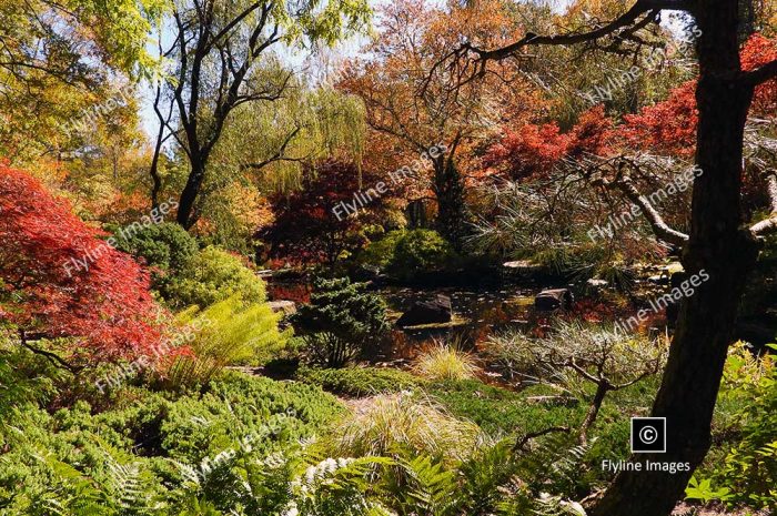 Japanese Gardens, Gibbs Garden, North Georgia