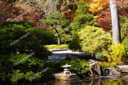 Japanese Garden, Gibbs Gardens, North Georgia