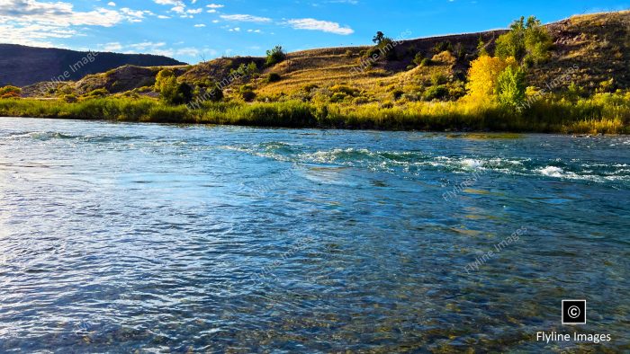 Green River, Fly Fishing, Green River Section C, Utah