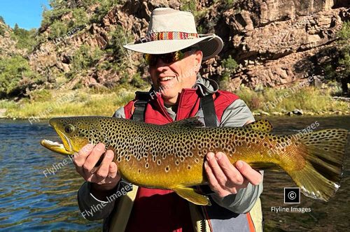 Green River, 25 Inch Brown Trout, Fly Fishing In Utah